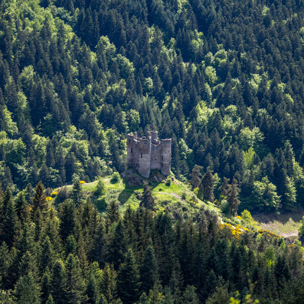 Château d’Alleuze