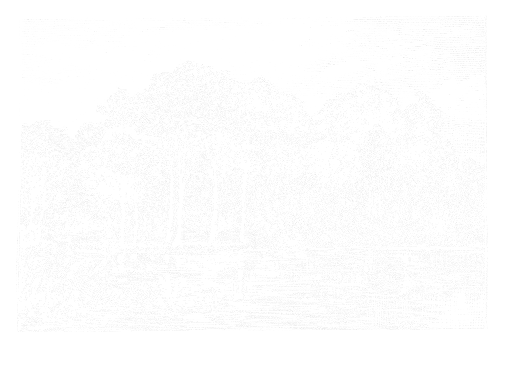 Gravure romantique de l'Étang de l'Écrevisse dans le bois de Meudon, par F. de Montholon, Hauts-de-Seine