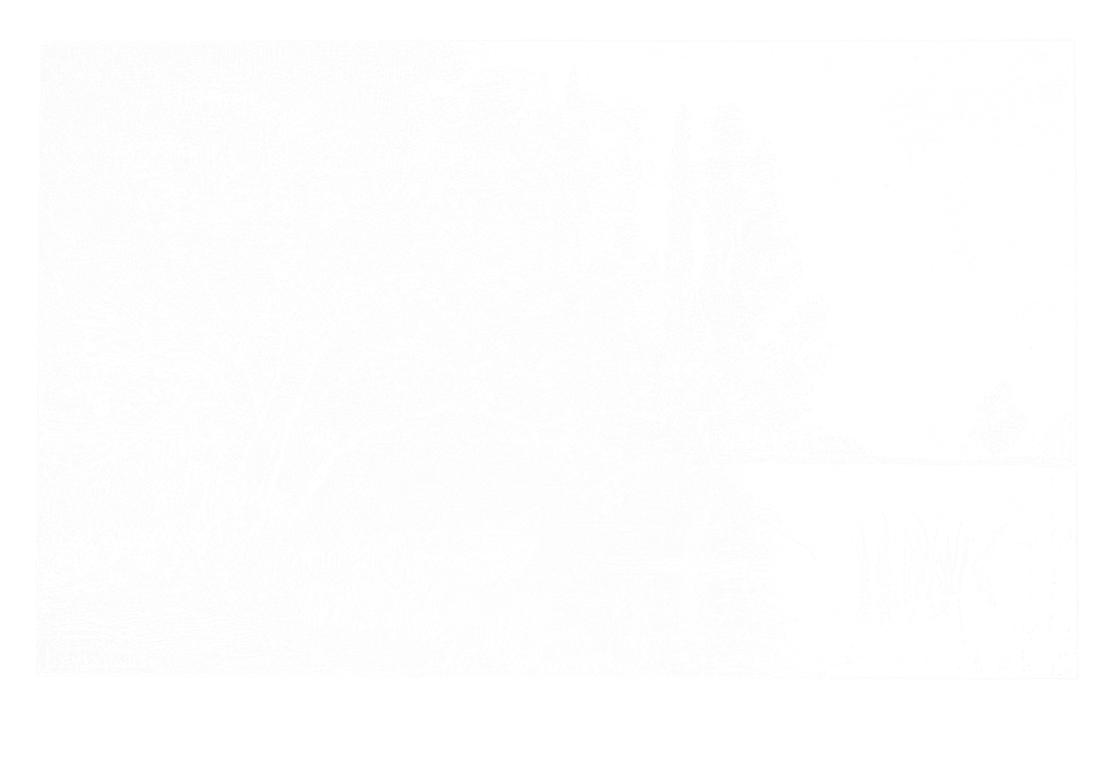 Gravure de l'étang paisible de Saint-Cucufa au cœur des bois, par F. de Montholon, Hauts-de-Seine, région Île-de-France